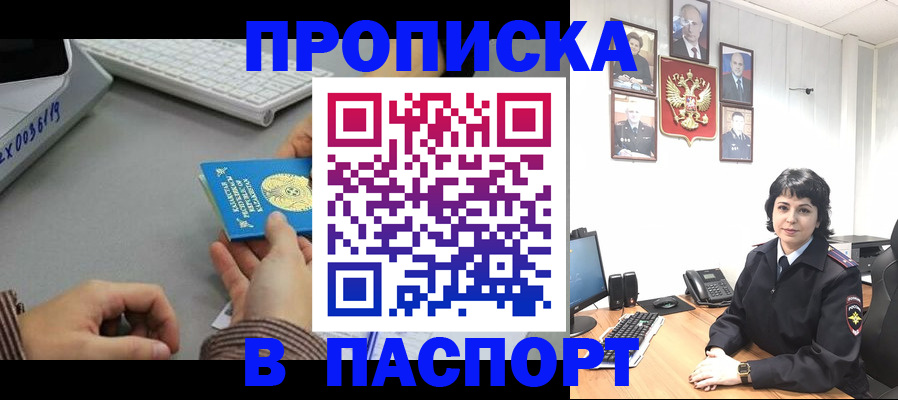 прописка в Волоколамске